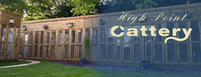 High Point Cattery Picture 2