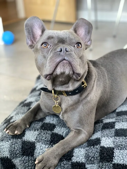 Stefs Pet Pantry Picture 2