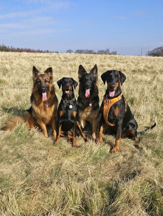 Stefs Pet Pantry Picture 6