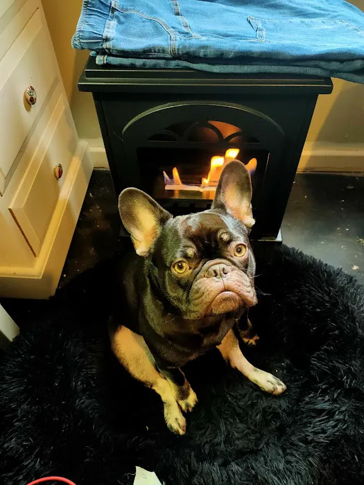 Stefs Pet Pantry Picture 9