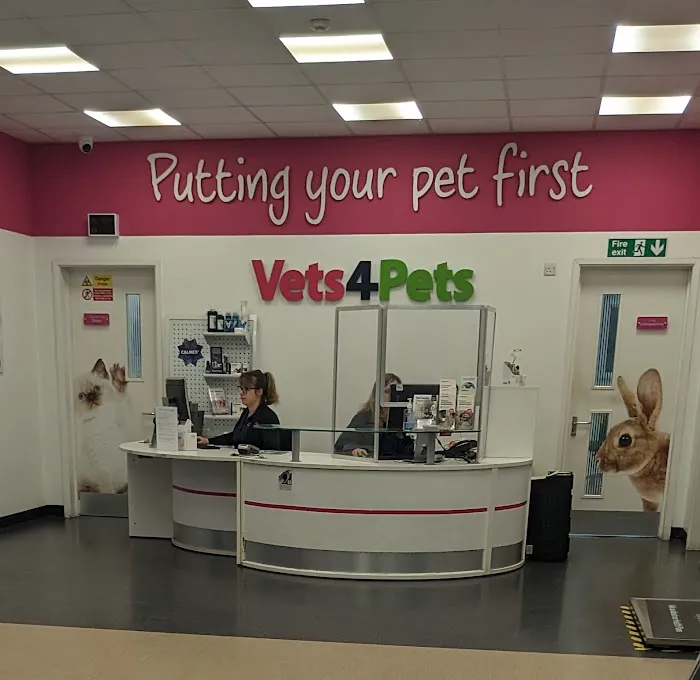 Vets4Pets Peterborough Bretton Picture 3