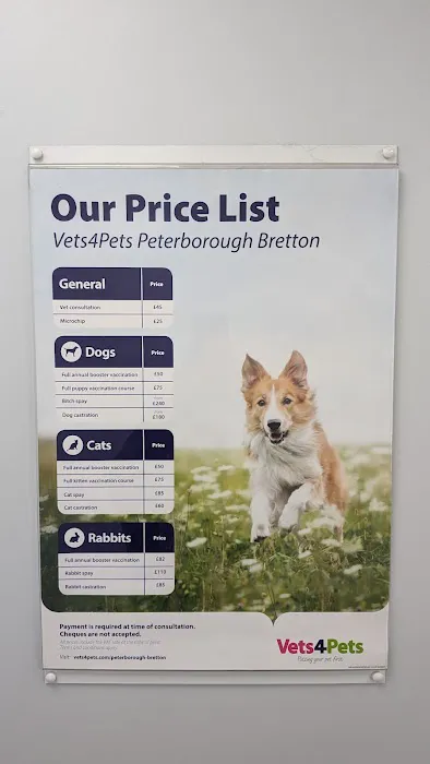Vets4Pets Peterborough Bretton Picture 10