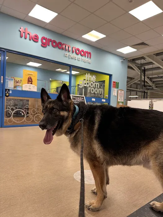 Vets4Pets Peterborough Bretton Picture 8
