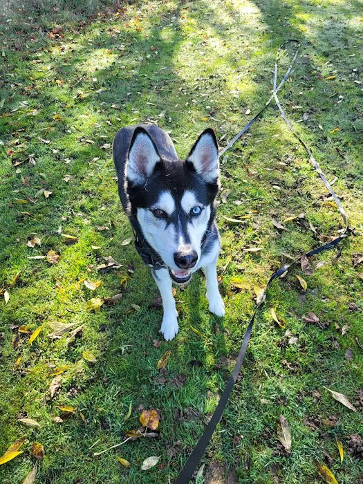 Medivet Peterborough Bretton Picture 4