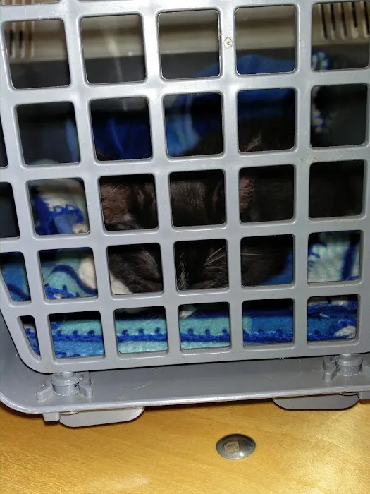 Medivet Peterborough Bretton Picture 8
