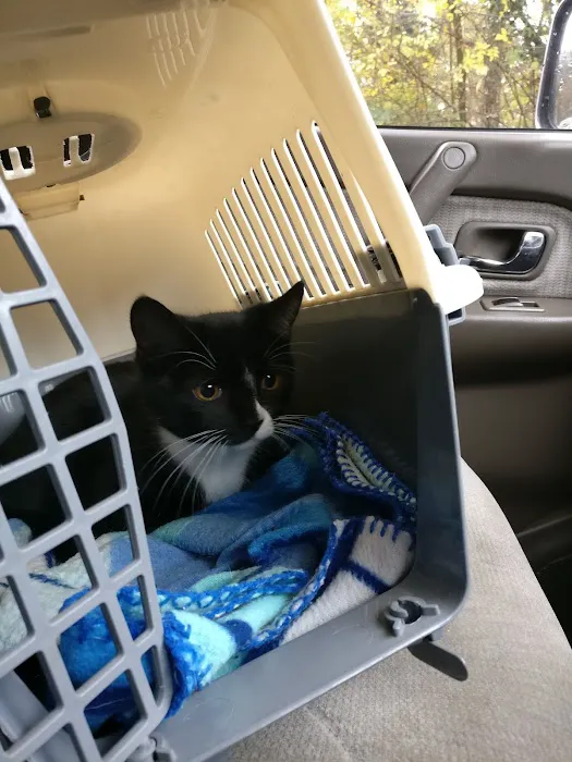 Medivet Peterborough Bretton Picture 7