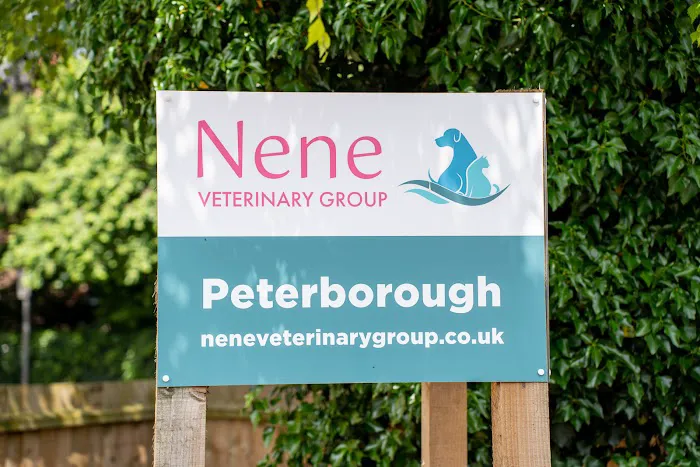 Nene Veterinary Group, Peterborough Picture 2