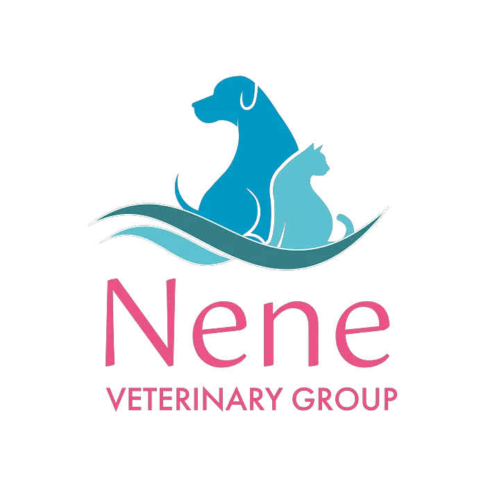 Nene Veterinary Group, Peterborough Picture 7