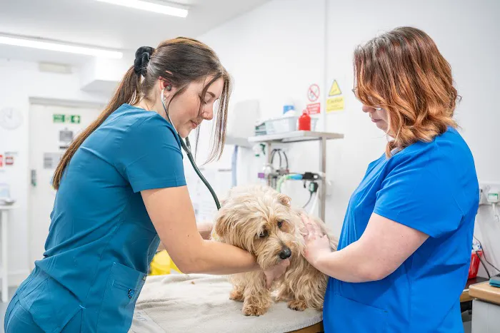 Nene Veterinary Group, Peterborough Picture 8