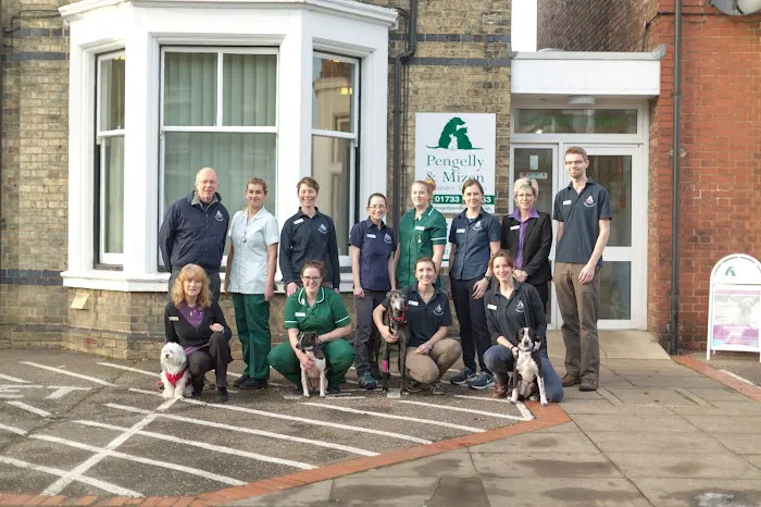 Pengelly & Mizen Veterinary Surgeons Picture 1