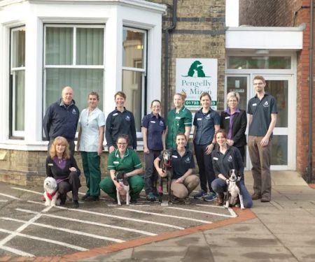 Pengelly & Mizen Veterinary Surgeons