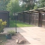 The Cats Inn Boarding Cattery