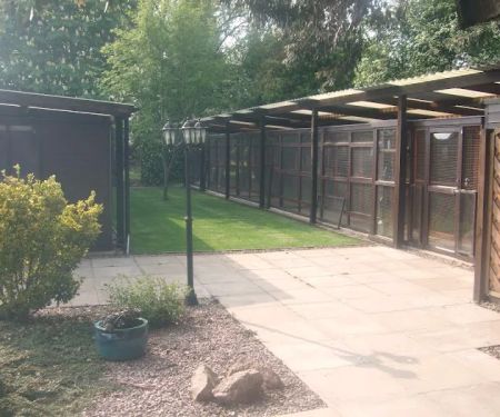 The Cats Inn Boarding Cattery