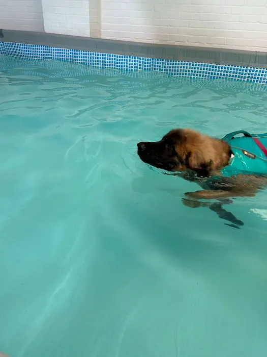 Well Dog Hydrotherapy Picture 1