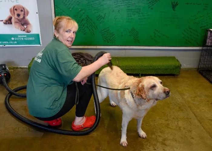 Well Dog Hydrotherapy Picture 2