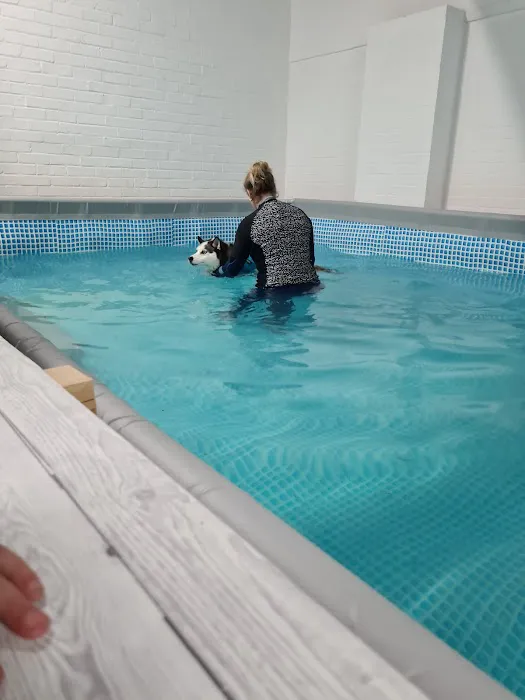 Well Dog Hydrotherapy Picture 6