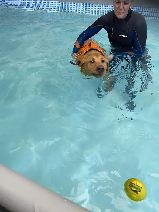 Well Dog Hydrotherapy Picture 9