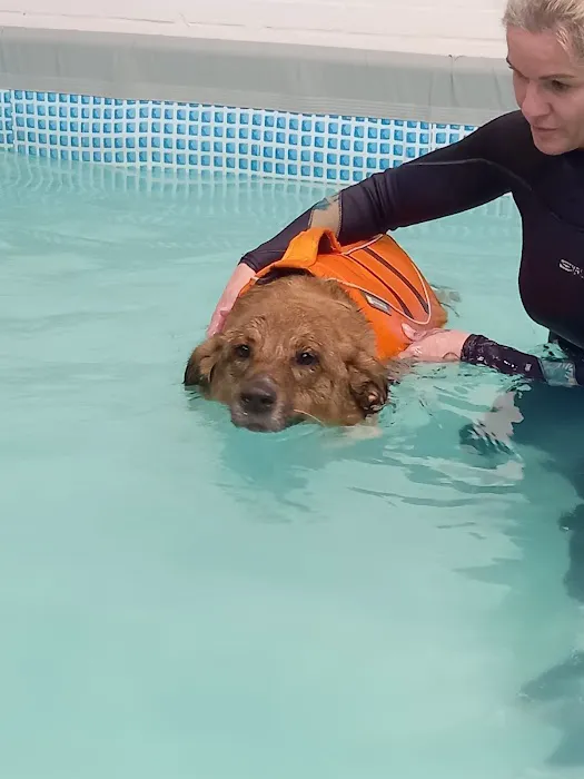 Well Dog Hydrotherapy Picture 7