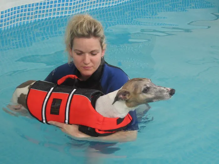 Well Dog Hydrotherapy Picture 10
