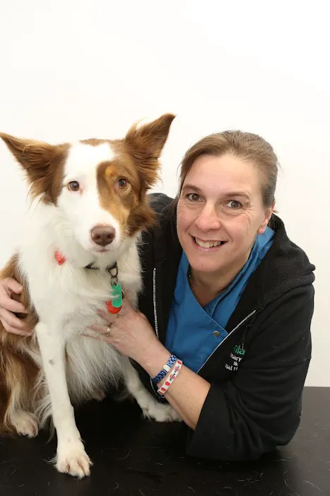 Ashlands Veterinary Centre, Ilkley Picture 2