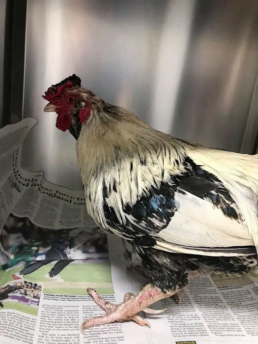 Ashlands Veterinary Centre, Ilkley Picture 5