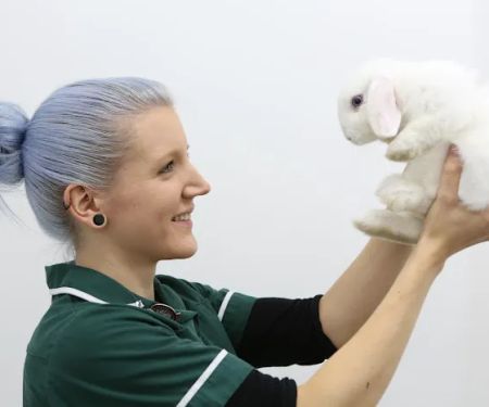 Ashlands Veterinary Centre, Ilkley