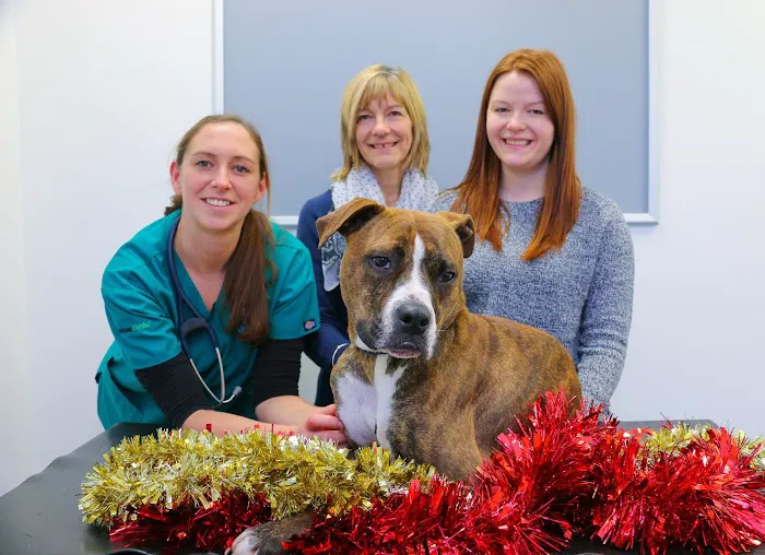 Ashlands Veterinary Centre, Ilkley Picture 3