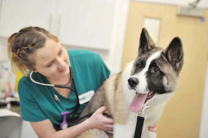 Holly House Veterinary Clinic Picture 1