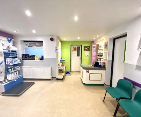 Collingham Vets