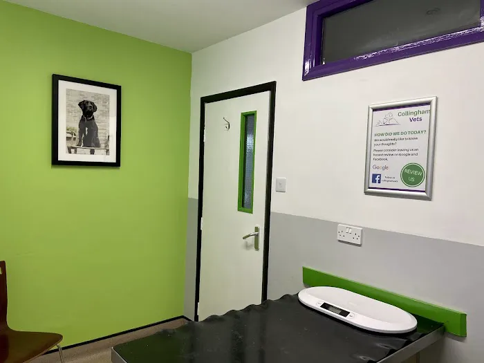 Collingham Vets Picture 4