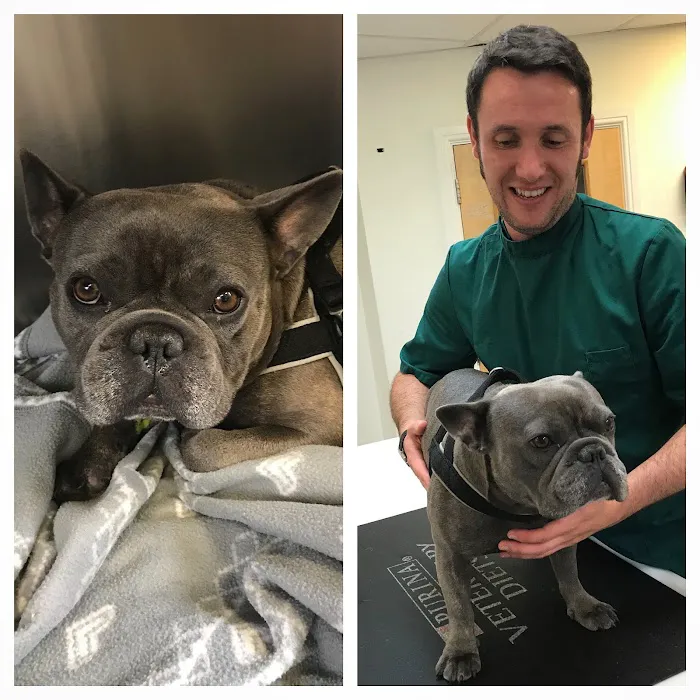Minster Veterinary Centre Picture 5