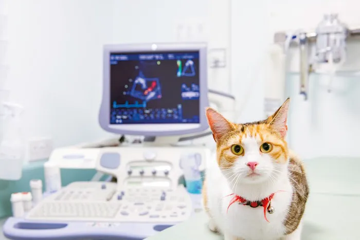 Park View Veterinary Hospital Picture 8