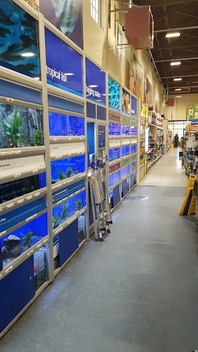 Pets at Home Peterborough Picture 3