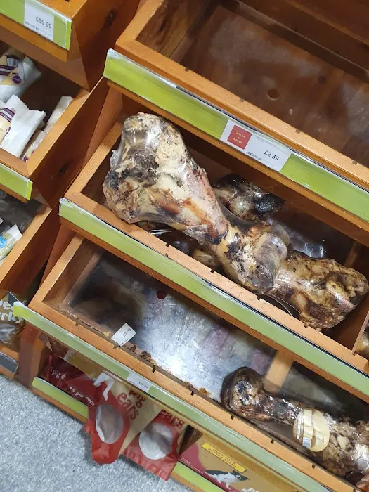 Pets at Home Peterborough Picture 4