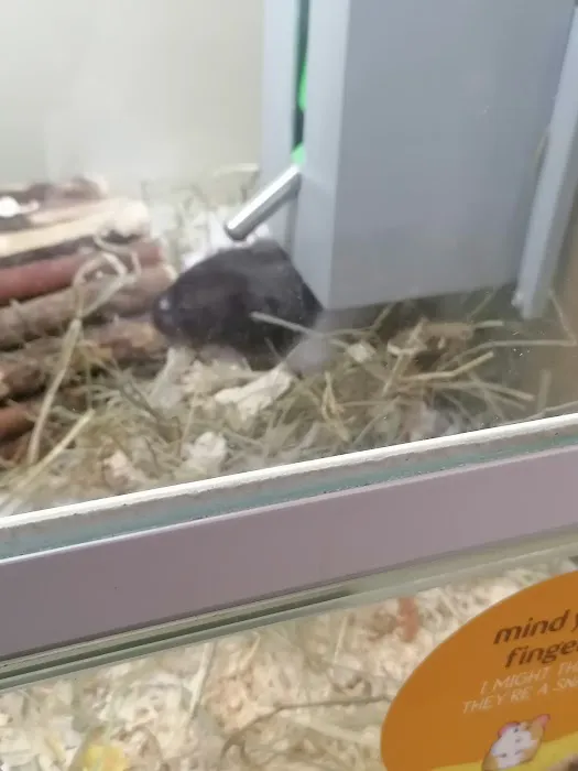 Pets at Home Peterborough Picture 10