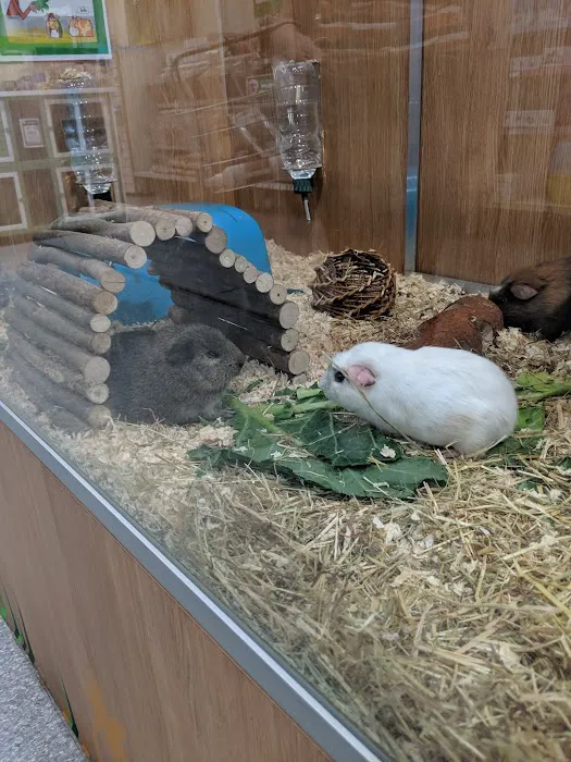 Pets at Home Peterborough Picture 9