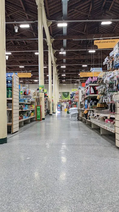 Pets at Home Peterborough Picture 8