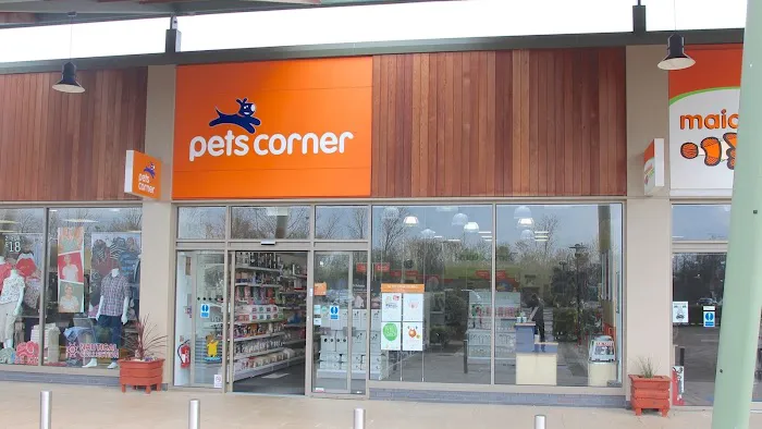 Pets Corner Picture 3