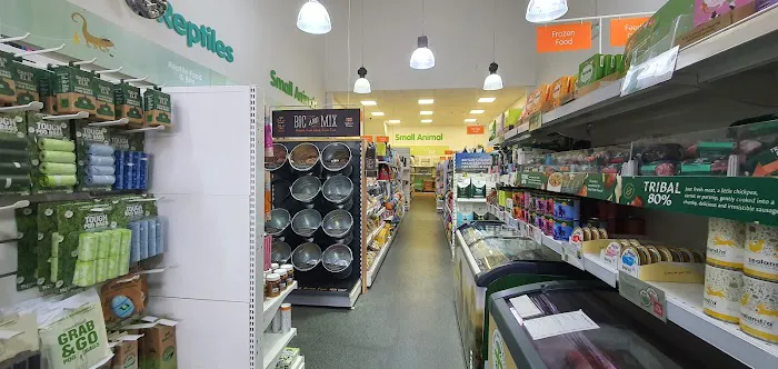 Pets Corner Picture 2