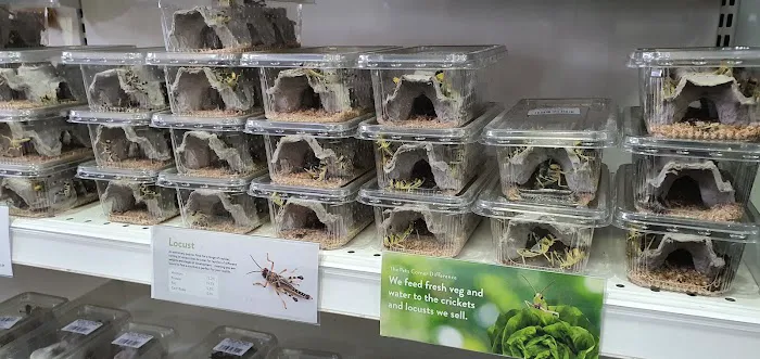 Pets Corner Picture 1