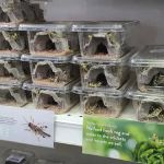 Pets Corner