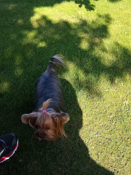 Pets Corner Picture 8