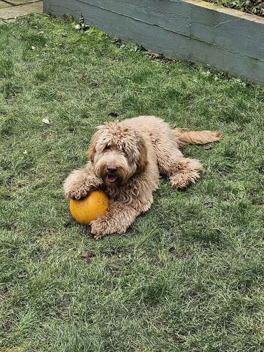 Pets Corner Picture 5