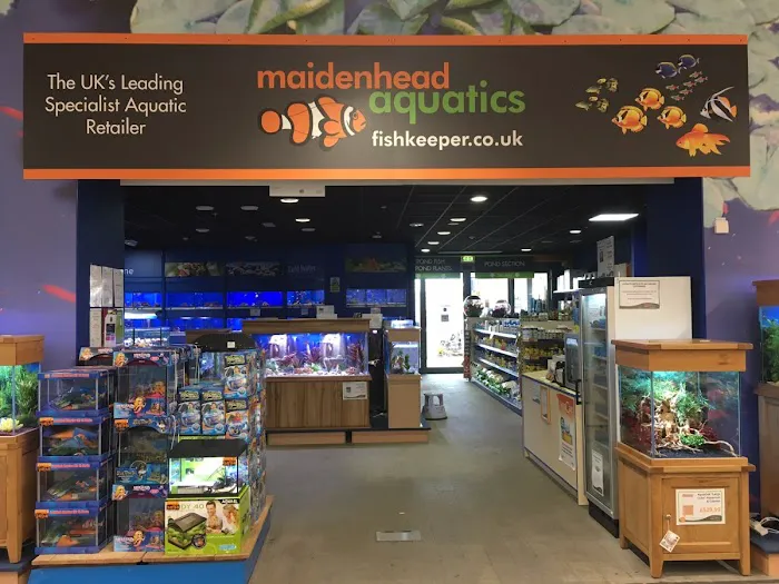 Maidenhead Aquatics Peterborough Dobbies Picture 3