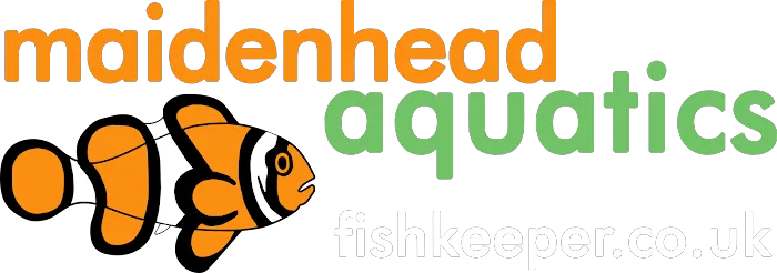 Maidenhead Aquatics Peterborough Dobbies Picture 4