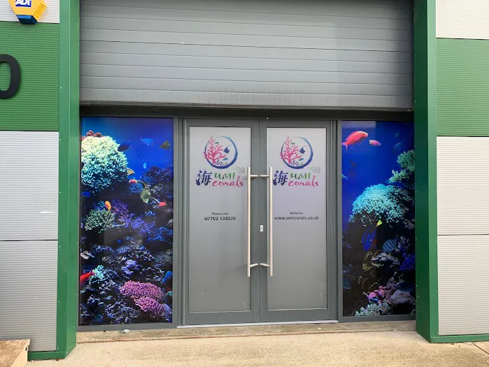 Umi Corals Ltd Picture 3