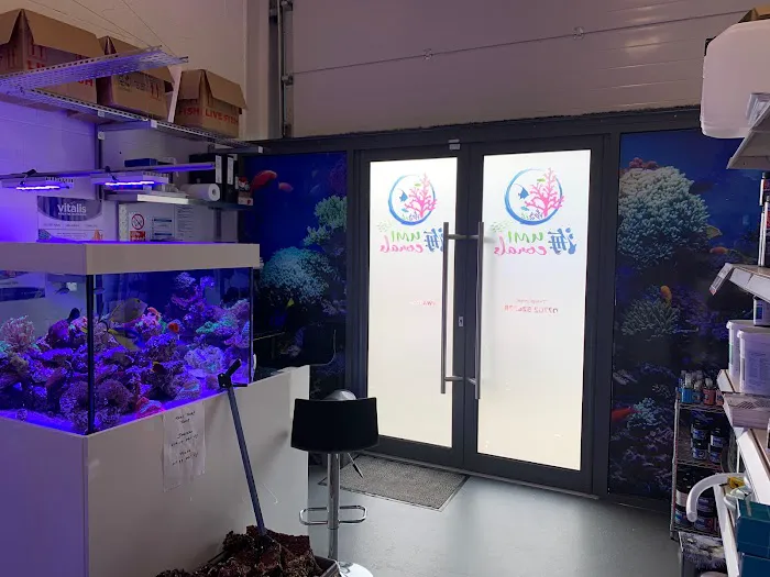 Umi Corals Ltd Picture 5