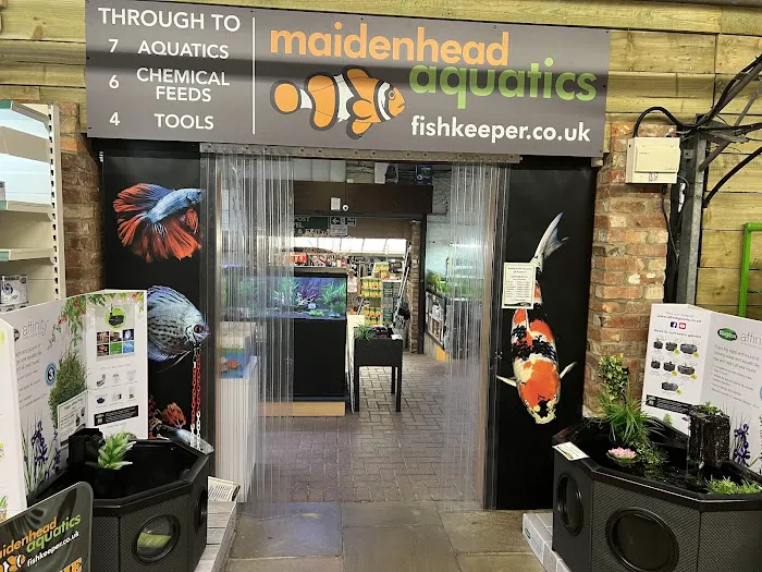 Kirby Bellars Fisheries - Koi Picture 3