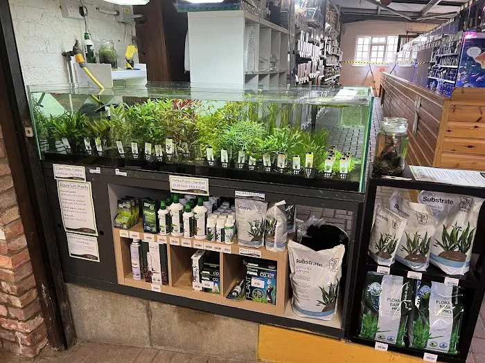 Kirby Bellars Fisheries - Koi Picture 2