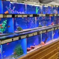 Kirby Bellars Fisheries - Koi ico